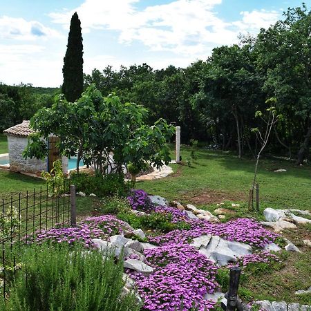 Cottage Al Merlo Olivo Buje Dış mekan fotoğraf