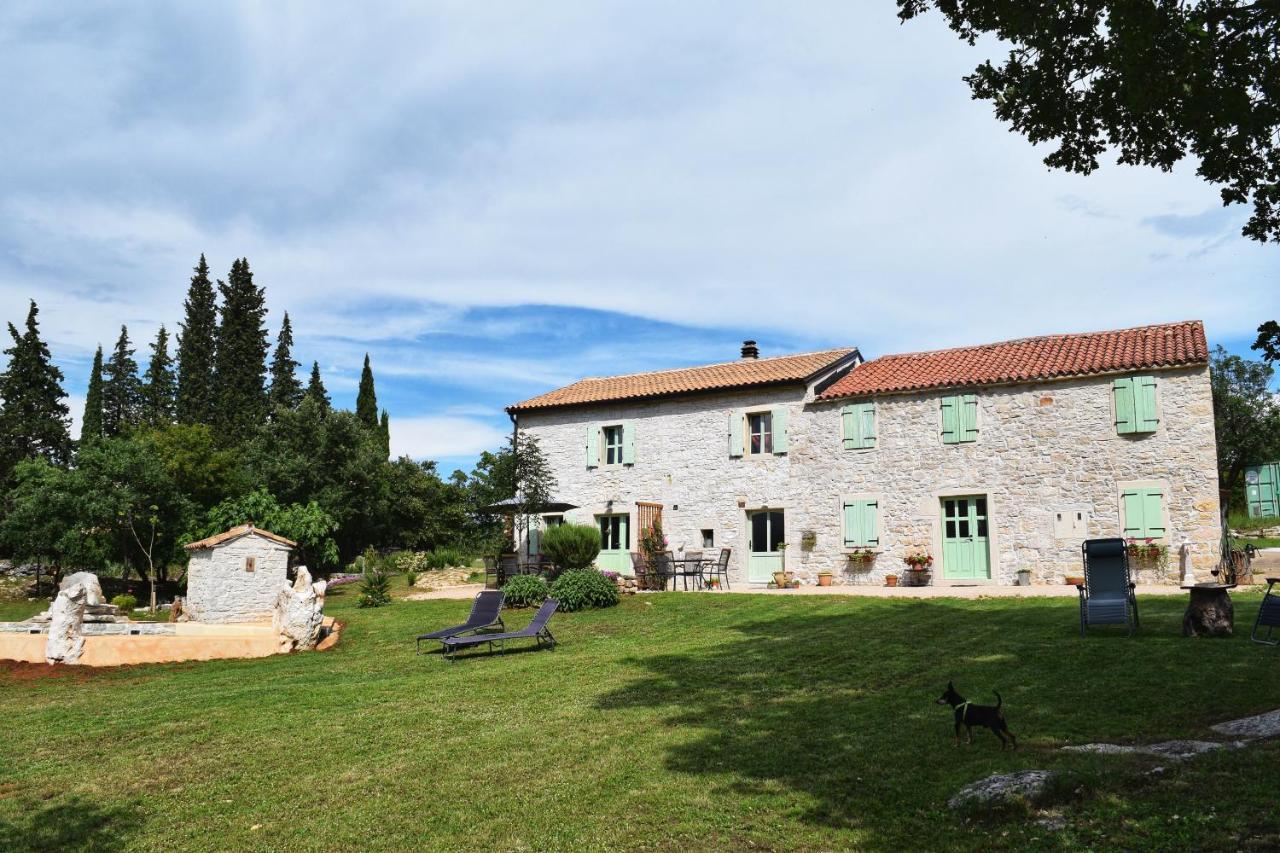 Cottage Al Merlo Olivo Buje Dış mekan fotoğraf
