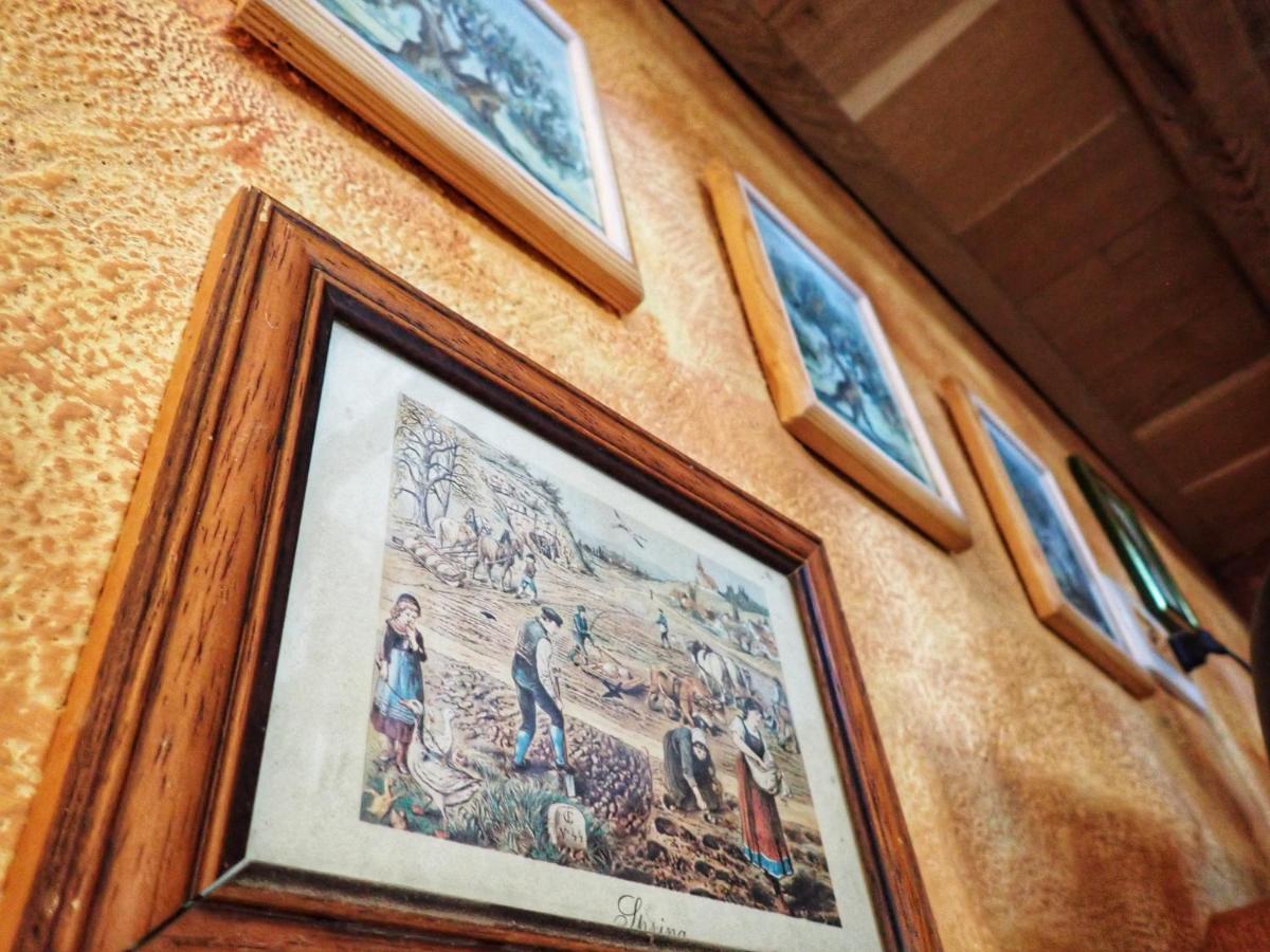 Cottage Al Merlo Olivo Buje Dış mekan fotoğraf