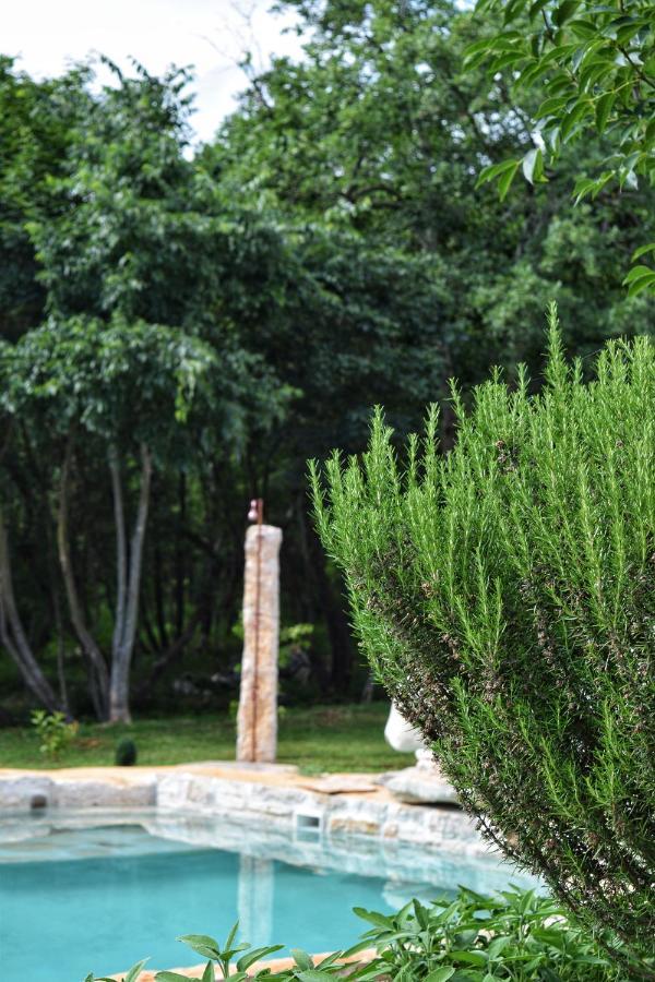 Cottage Al Merlo Olivo Buje Dış mekan fotoğraf