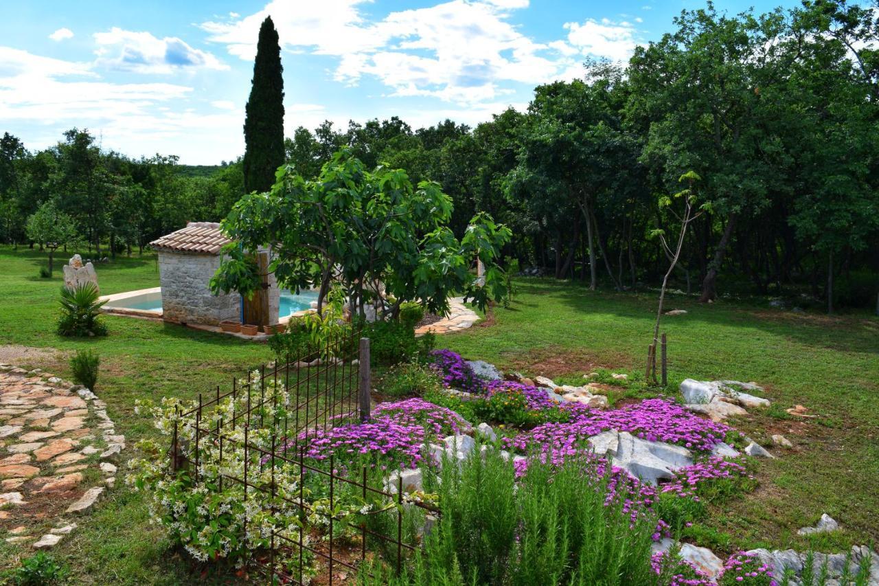 Cottage Al Merlo Olivo Buje Dış mekan fotoğraf