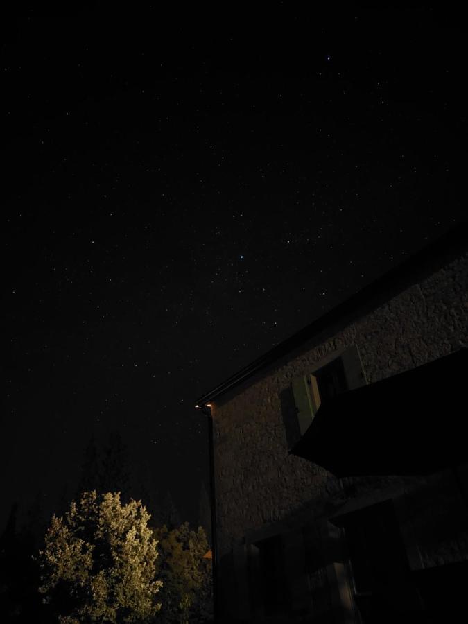 Cottage Al Merlo Olivo Buje Dış mekan fotoğraf