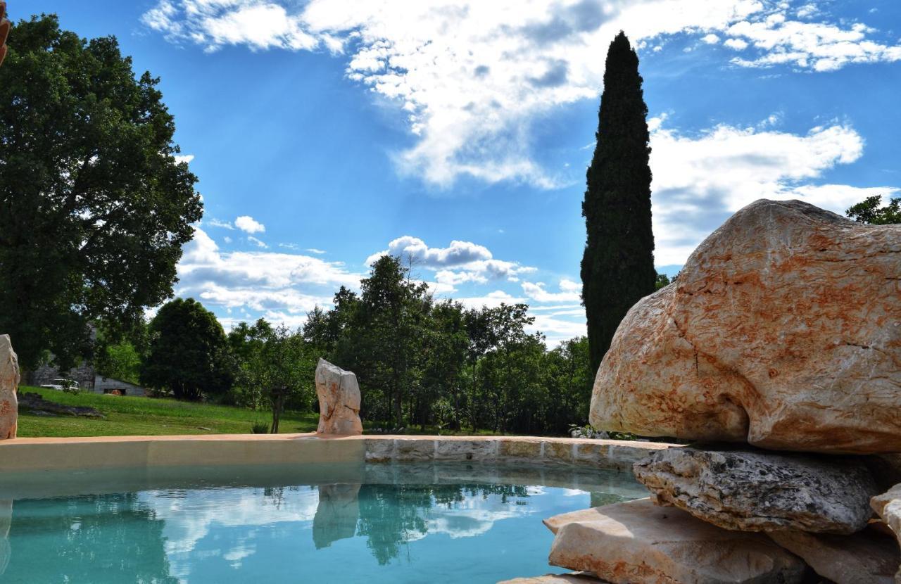 Cottage Al Merlo Olivo Buje Dış mekan fotoğraf