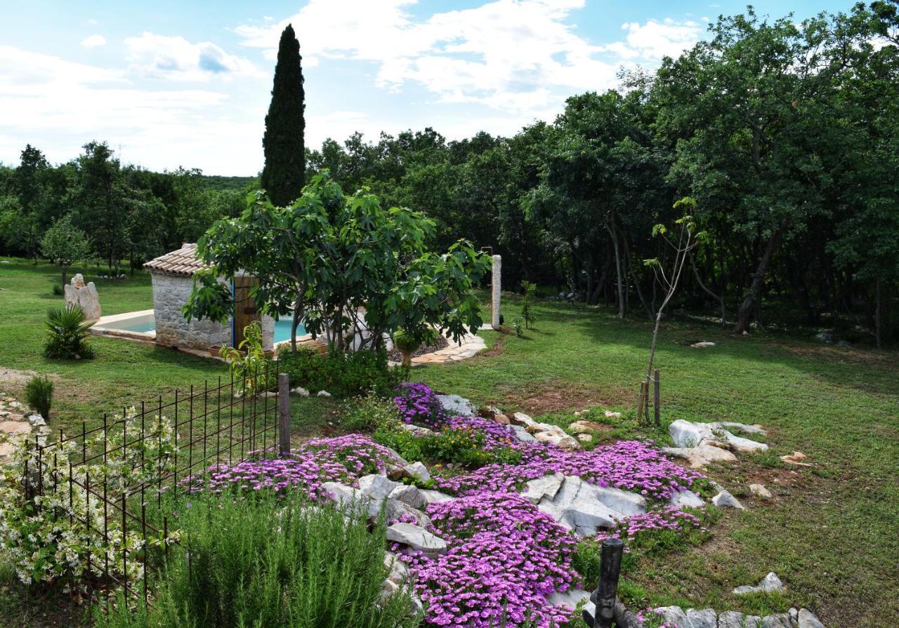 Cottage Al Merlo Olivo Buje Dış mekan fotoğraf