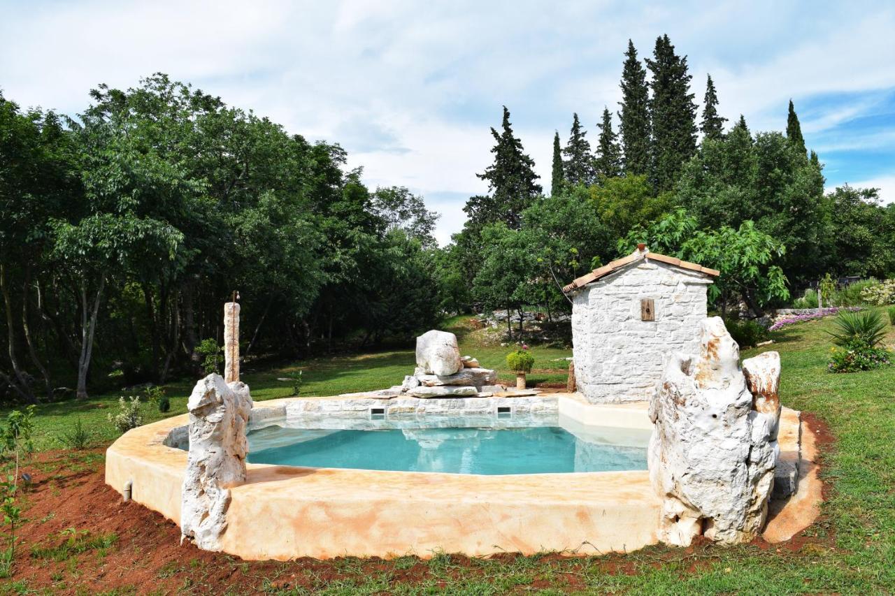 Cottage Al Merlo Olivo Buje Dış mekan fotoğraf
