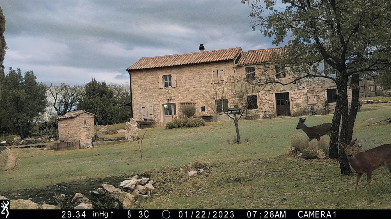 Cottage Al Merlo Olivo Buje Dış mekan fotoğraf