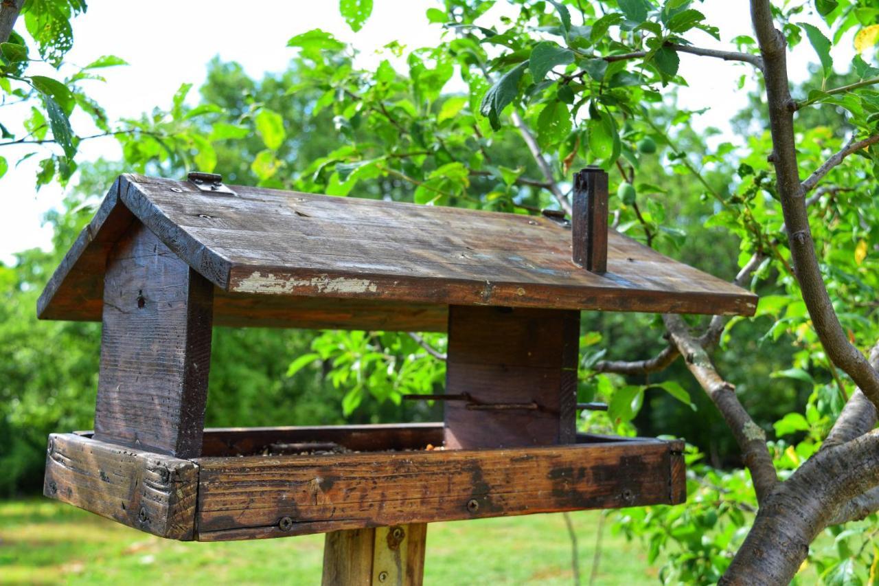 Cottage Al Merlo Olivo Buje Dış mekan fotoğraf