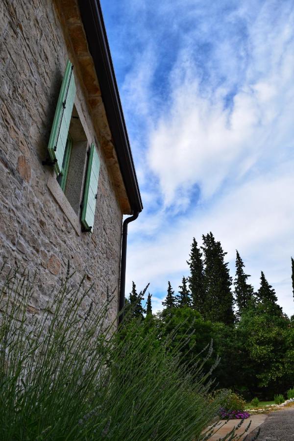 Cottage Al Merlo Olivo Buje Dış mekan fotoğraf